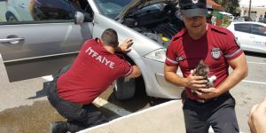 Motor bölümüne saklanan yavru kedi kurtarıldı…