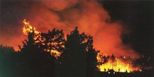 Yedidalga'da yangın