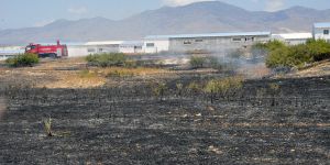 Kıvılcım, kül etti... 7 dönüm arazi yandı