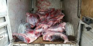 2 tondan fazla kaçak et