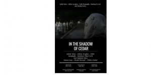 “Sedirin Gölgesinde” filmine “Akademi Özel Ödülü”