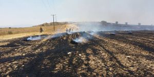 480 adet bala kül oldu