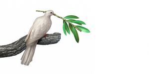 BARIŞ TOPLANTISINDA KÖR BİR KONUŞMACI