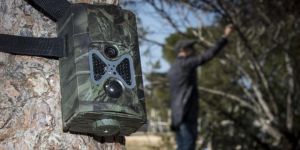 Dikelya’da yasa dışı kuş avına ceza!