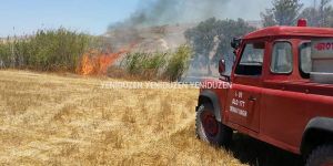 110 adet balya kül oldu