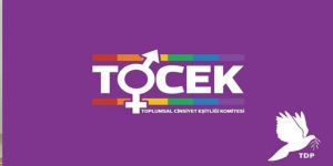 "Kadın cinayetleri tahammül sınırlarını aştı"