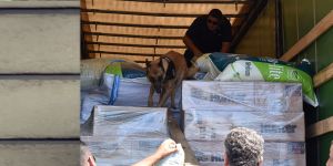 “Kamagra” polisin rutin kontrollerine takıldı…