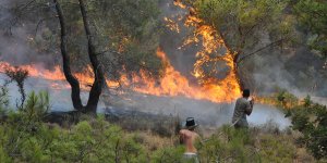 Kalkanlı’daki yangında yanan ağaçlar odun olarak satılacak