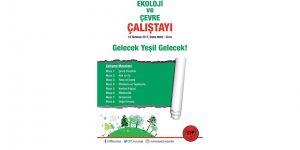 CTP Ekoloji ve Çevre Çalıştayı düzenliyor