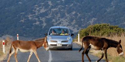 Partilerden ortak çağrı: Karpaz çevresel ve kültür amaçlı kullanılsın