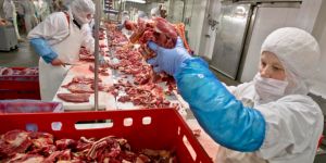 AVRUPA'DA AT ETİ SKANDALI: 66 TUTUKLU