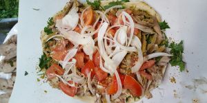 MEŞHUR HİSAR SÖĞÜŞCÜSÜ