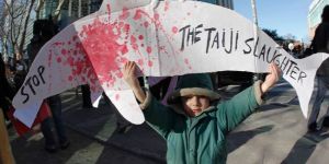 Yunus Avı, çevrecileri öfkelendirdi