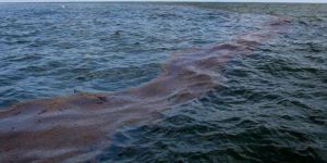 Denize 2 ton FELAKET SIZDI