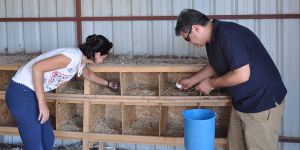 ‘Köyce Organik Tarım Çiftliği’