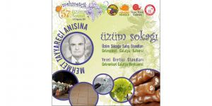 Mehmetçik Üzüm Festivali başlıyor