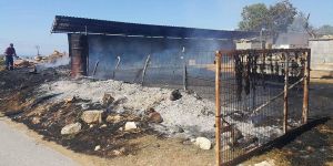 Mandıradaki yangın korkuttu