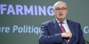 AB’den okullara önemli fon