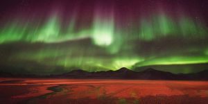 Finalistler açıklandı