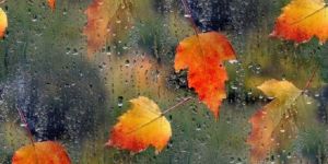 Mevsiminde yaşa hayatı!