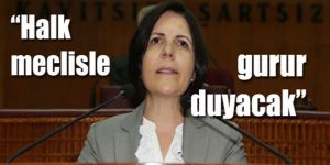 Sibel Siber Meclis Başkanı oldu