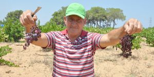 SICAK VURDU, VERİM DÜŞTÜ!