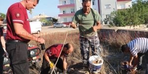 Kitaplar ‘suç unsuru’