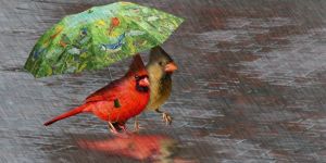 Şiirlerle büyüsün çocuklar