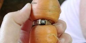 13 yıldır kayıp olan evlilik yüzüğü, bir havuca takılı halde bulundu