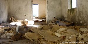 Kıbrıslı Türkler Açısından Dillirga Deneyimi