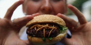 Protein zengini "böcekburger" satışta