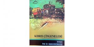 “Kıbrıs çingeneleri” adlı kitap yayımlandı
