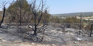 Büyükkonuk-Yedikonuk arasında YANGIN