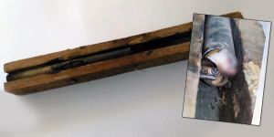 ‘Hayribetoğlu, kendi kendini yaraladı’