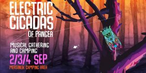 20’den fazla grup sahne alacak