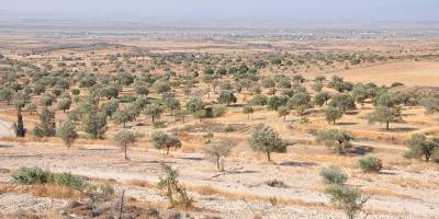 TC vatandaşı mevsimlik işçiler artık KKTC’ye kimlikle de girebilecek