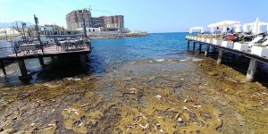 İnsanlar değil, ‘atıklar’ yüzdü!