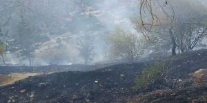 YEŞİLIRMAK'ta yangın. Büyümeden söndürüldü