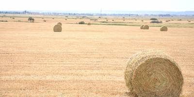 2020-2021 Üretim Yılı kuraklık tazminat miktarları açıklandı