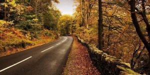 Merhaba Çocuklar ve Yüreği Çocuk Kalanlar