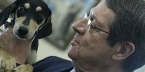 Anastasiadis'in yeni köpeği sığınaktan