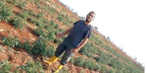 “Yok mu denetleyen?”