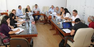 Meclis komitesinde DAÜ konuşuldu