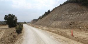 At, araca vurdu, öldü