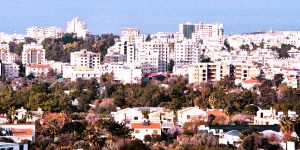 ‘Yabancıların mal alımı’ için 79 karar!