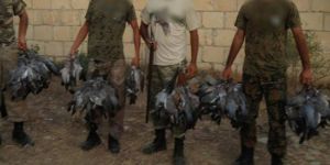 Sosyal medyada çıkan av suçları ihbar edildi