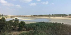 TDP: "Mağusa halkı sağlıksız koşullarda yaşamaya mahkum ediliyor"