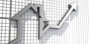 BİR ÇEVRE EKONOMİSİ OLARAK GÜNEY KIBRIS-II