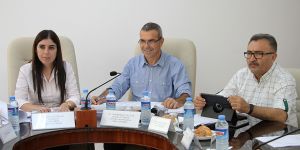 Seçim ve Halkoylaması Yasa Tasarısı görüşülüyor