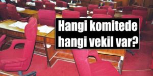 Komiteler toplanıyor
